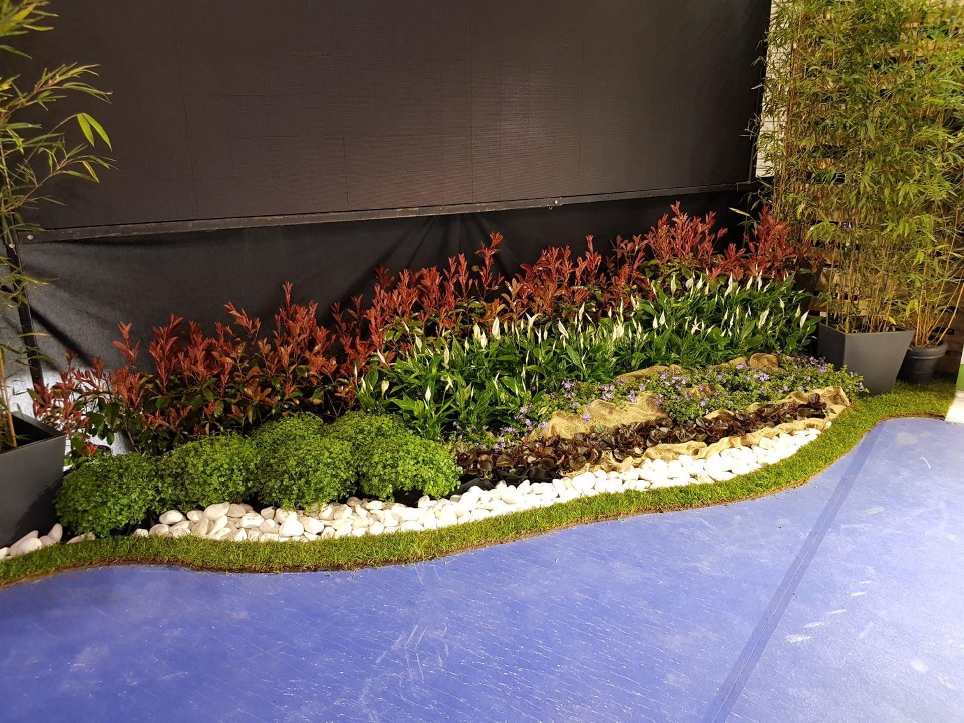 ALQUILER DE PLANTAS