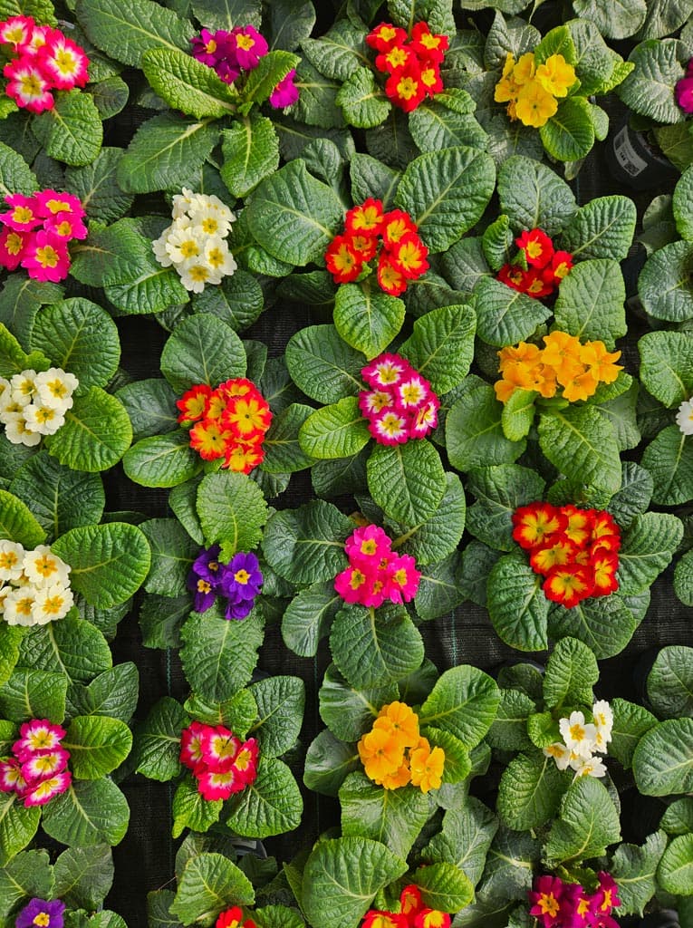 Conoce más sobre nuestros servicios