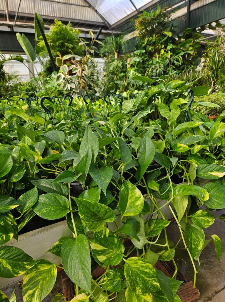 Conoce más sobre nuestros servicios