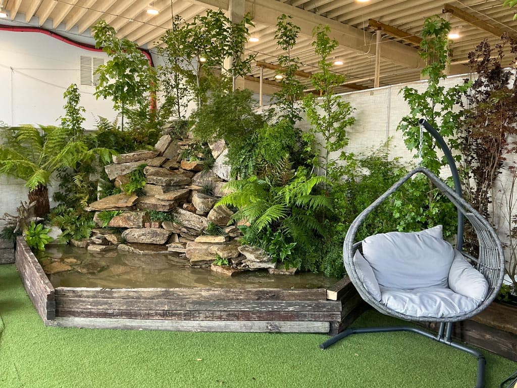 ¡Dale vida a tu evento con nuestras plantas en alquiler!