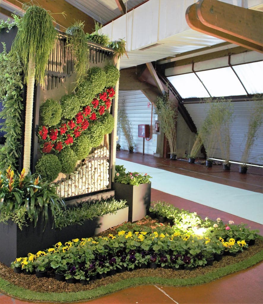 Crea recuerdos inolvidables con un toque natural