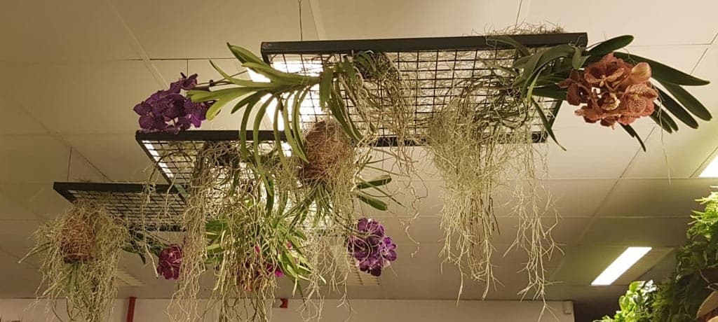 Crea recuerdos inolvidables con un toque natural