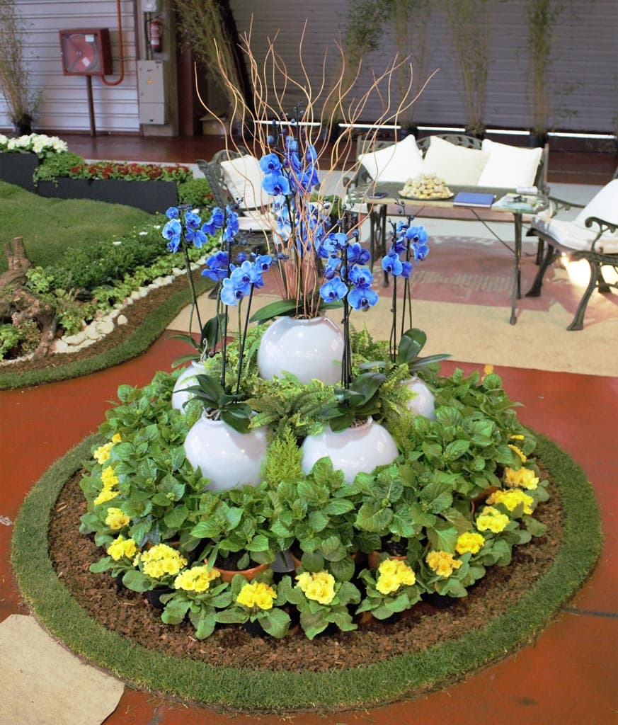 Crea recuerdos inolvidables con un toque natural