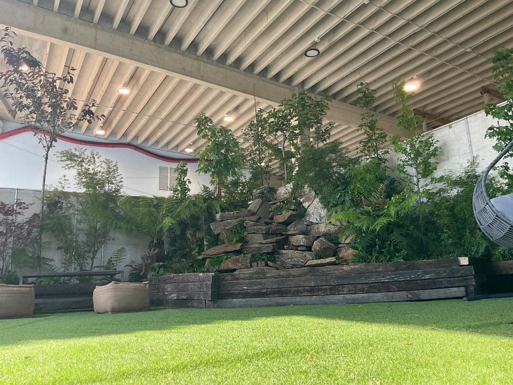 Crea recuerdos inolvidables con un toque natural