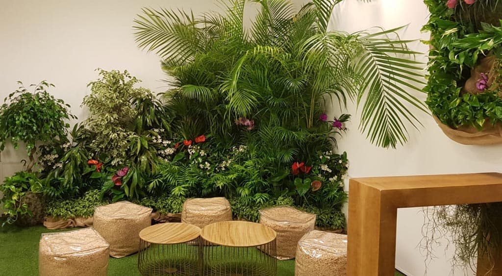 Crea recuerdos inolvidables con un toque natural