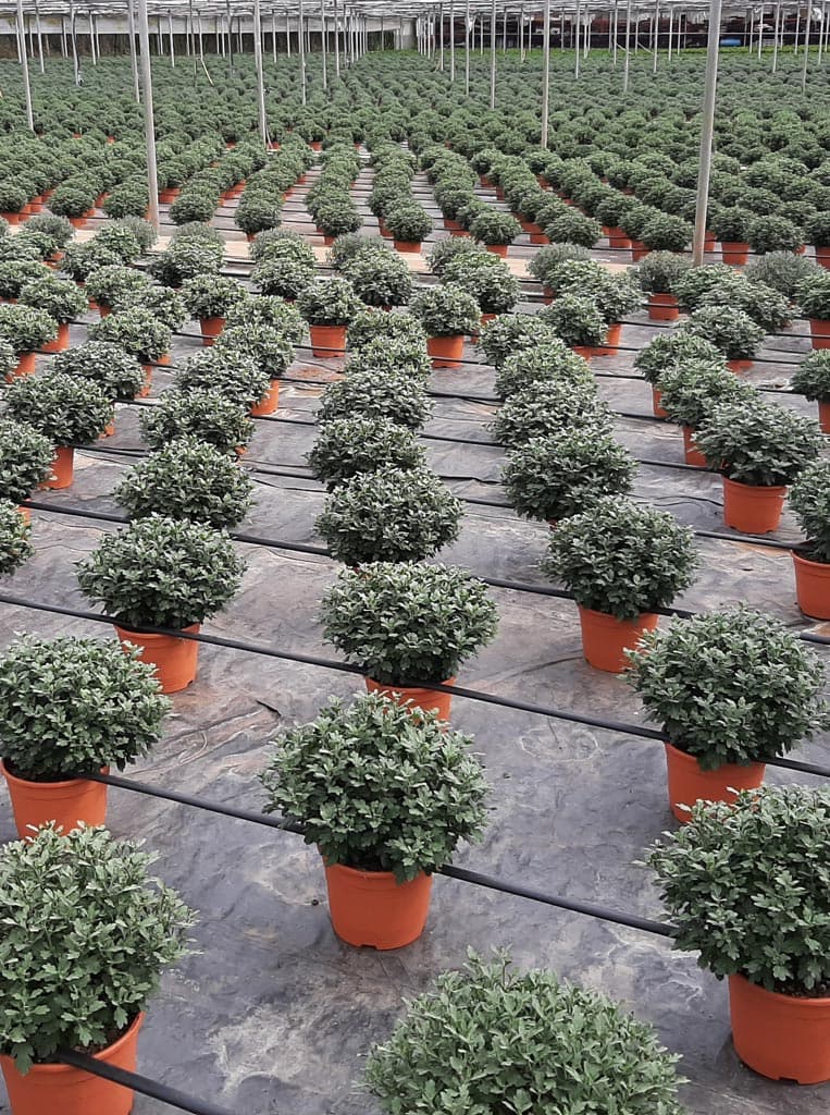 Instalaciones de más de 30.000 m²