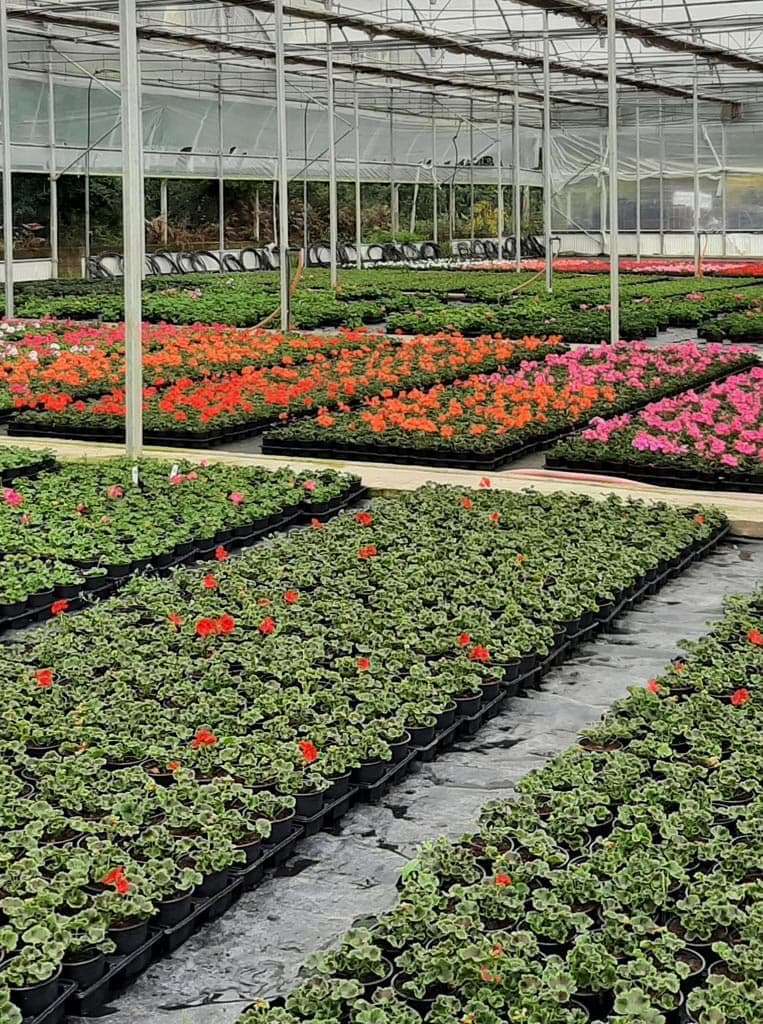 Instalaciones de más de 30.000 m²