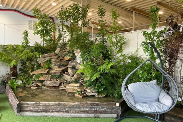 Tenemos las plantas que necesitas para cada ocasión